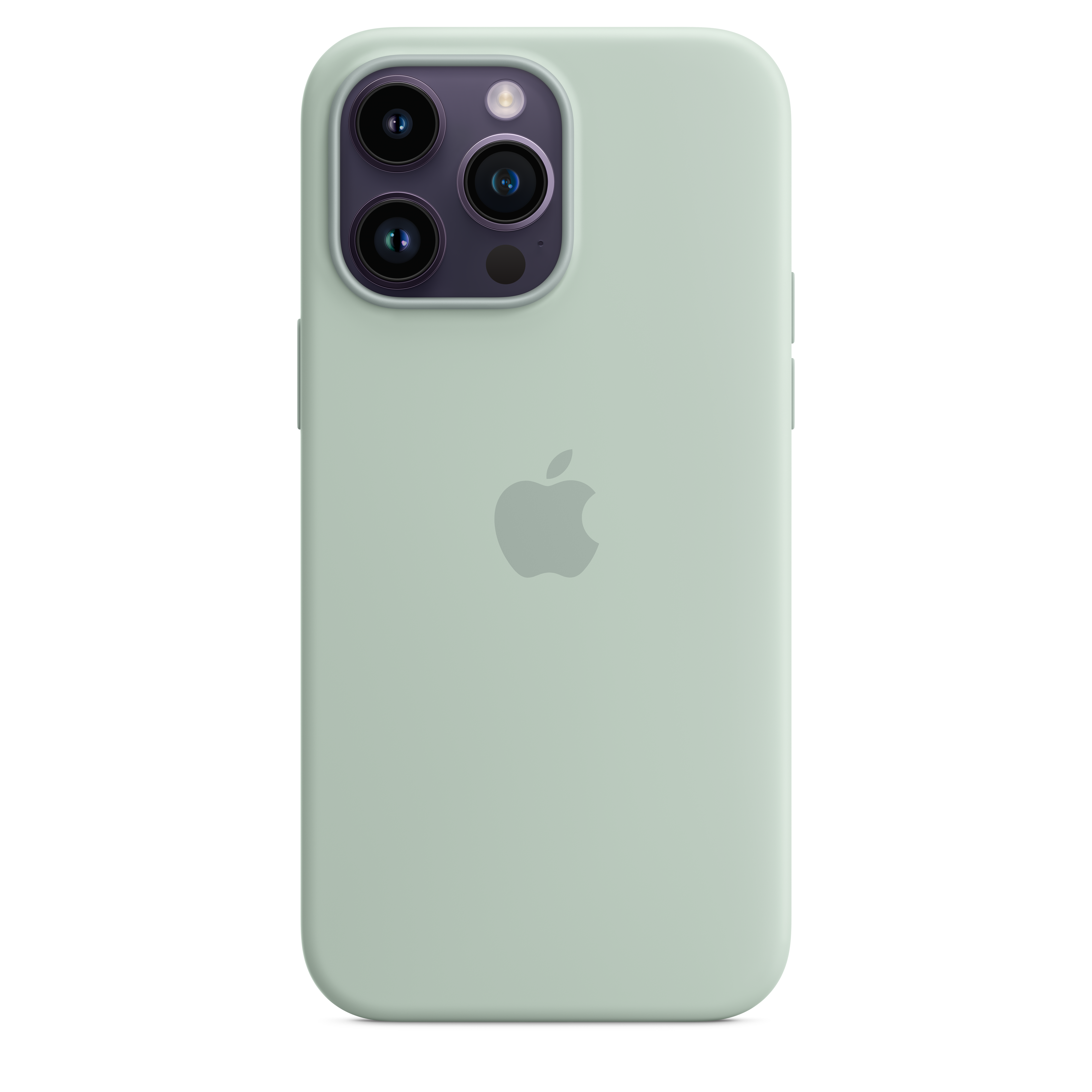 Funda de piel con MagSafe para el iPhone 14 Pro Max - Ocre oscuro –  Rossellimac