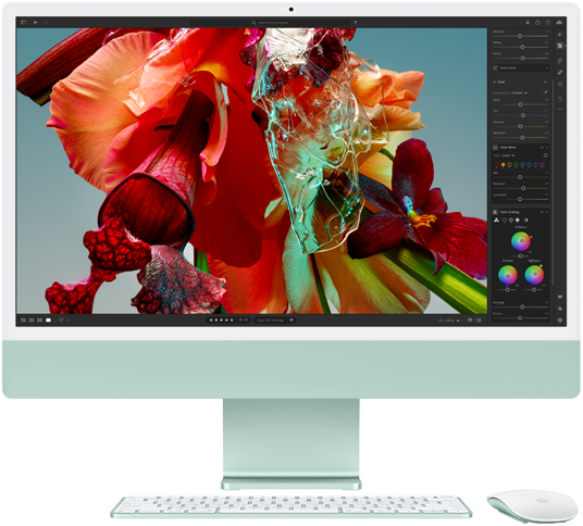 Pantalla de un iMac con una flor a todo color en Adobe Lightroom para mostrar la gama cromática y la resolución de la pantalla Retina 4,5K.