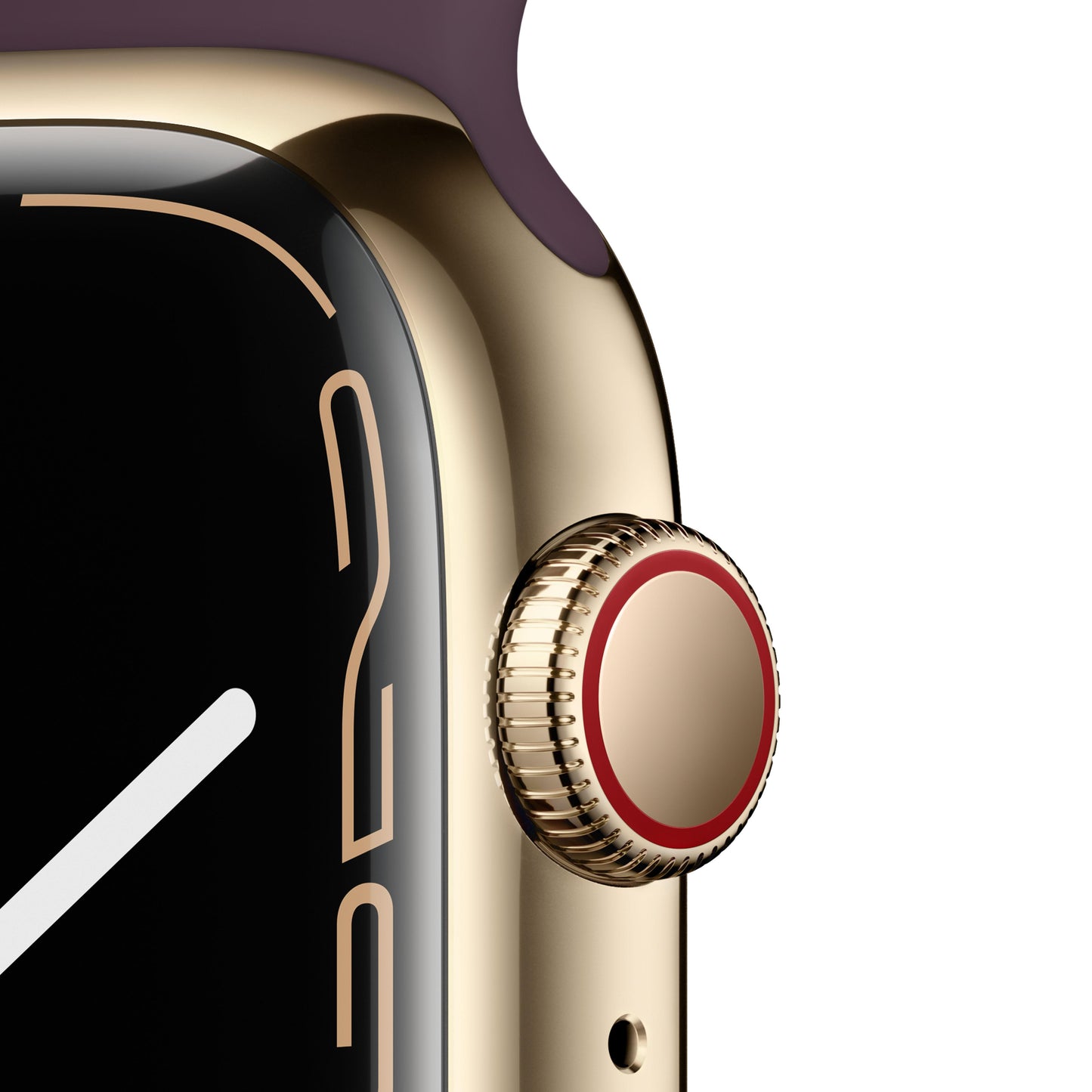 Apple Watch Series 7 (GPS + Cellular) - Caja de acero inoxidable en oro de 45 mm - Correa deportiva en color cereza oscuro - Talla única