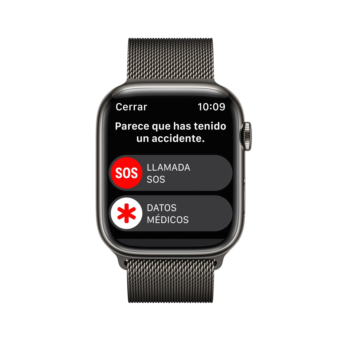 Apple Watch Series 8 (GPS + Cellular) - Caja de acero inoxidable en grafito de 45 mm - Pulsera Milanese Loop en grafito