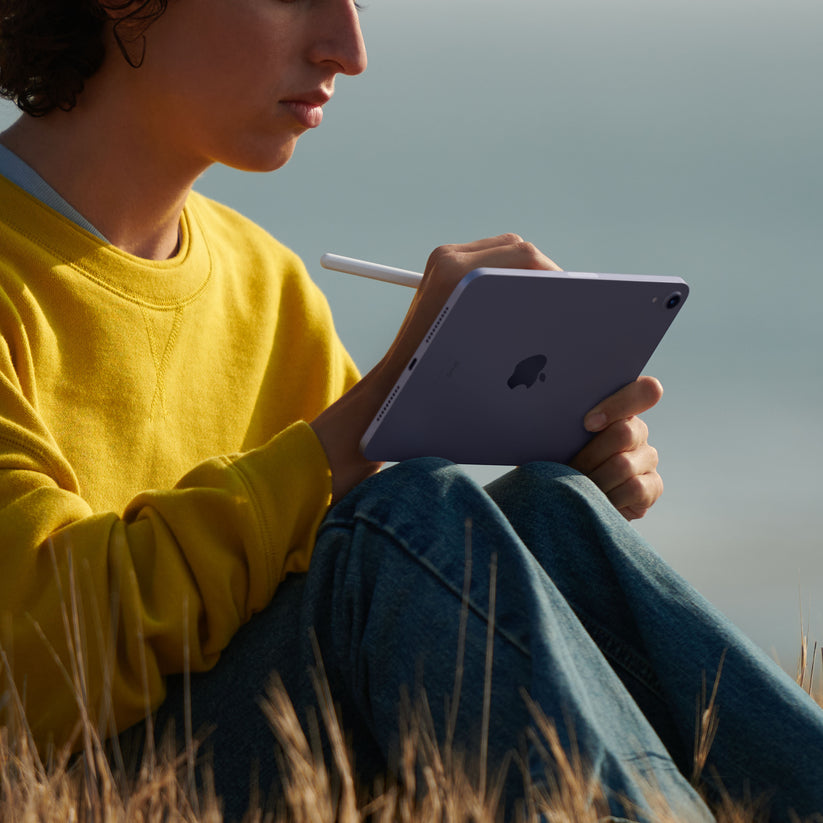 iPad mini Wi-Fi, Rosa, 64 GB - Rossellimac