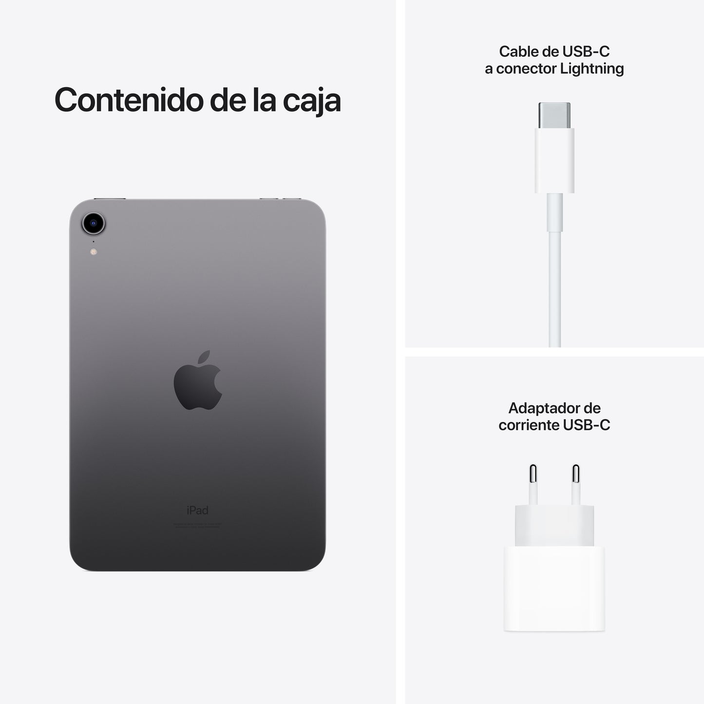 iPad mini Wi-Fi, Gris espacial, 256 GB - Rossellimac