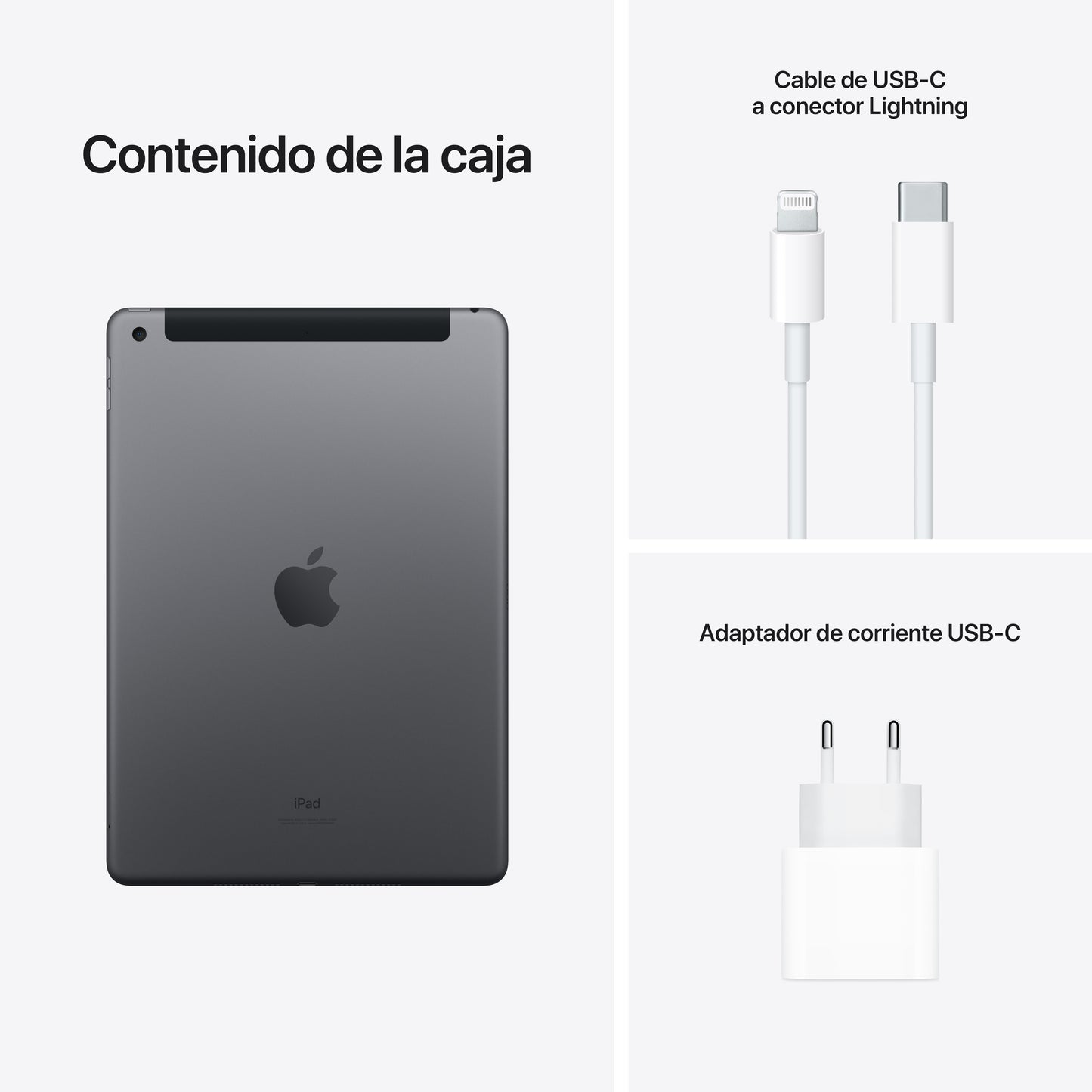 iPad de 10,2 pulgadas, Gris espacial, 256 GB, Wi-Fi - Rossellimac