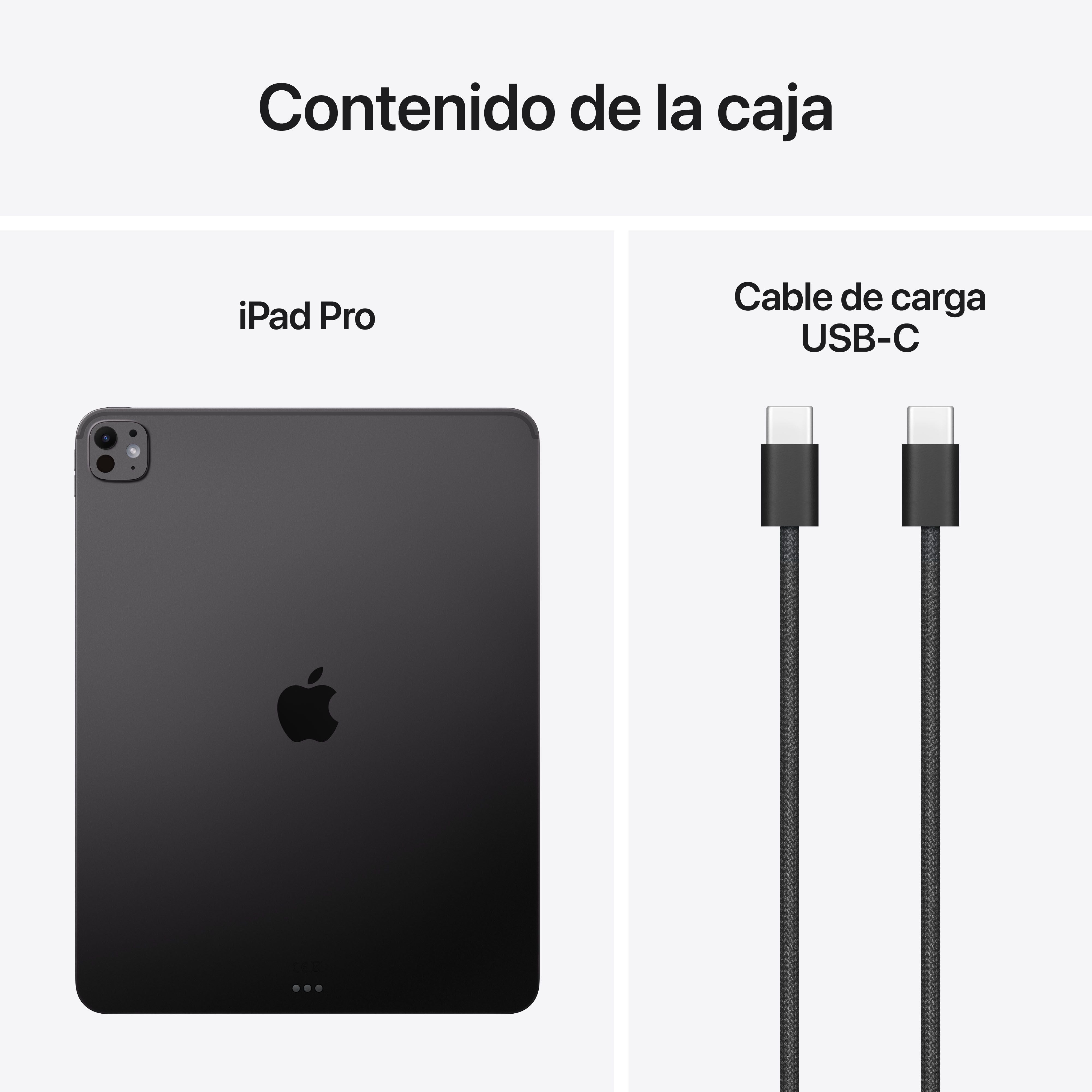 iPad Pro de 13 pulgadas Wi-Fi 256 GB Vidrio estándar - Negro