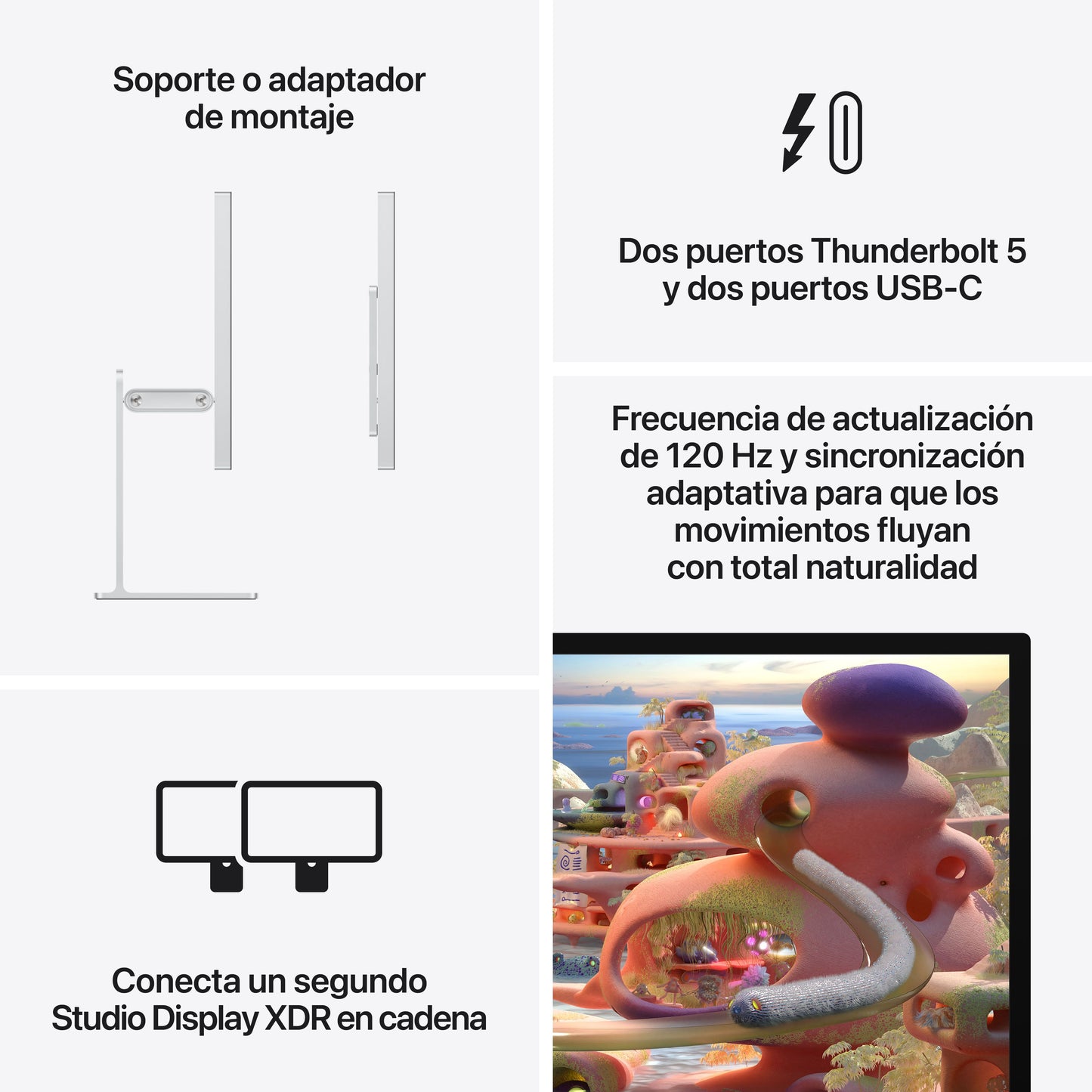 Studio_Display_XDR_PDP_Image_Position_8__ESES