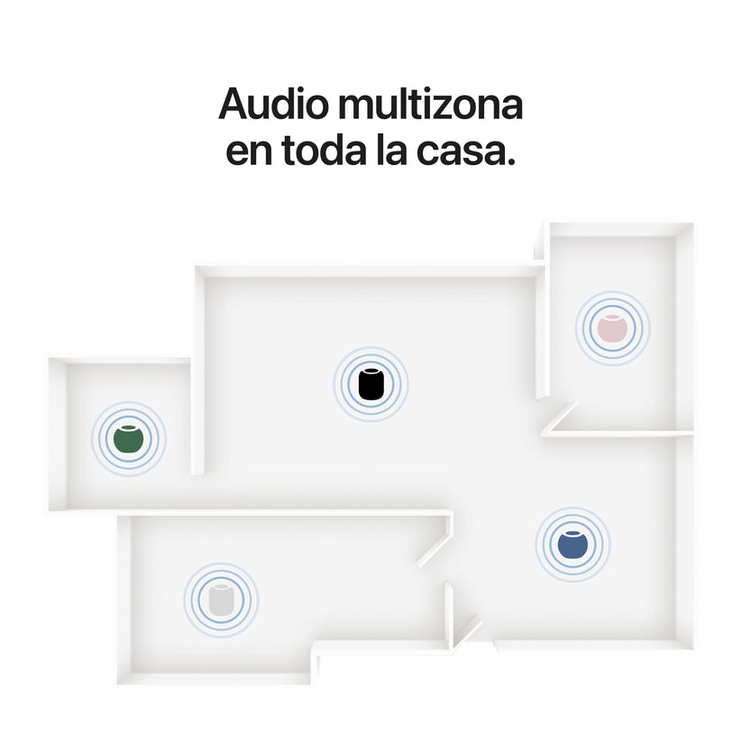 IMG-22175653