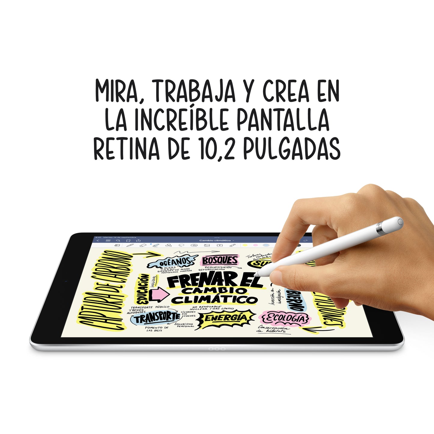 iPad de 10,2 pulgadas, Plata, 256 GB, Wi-Fi + Cellular - Rossellimac