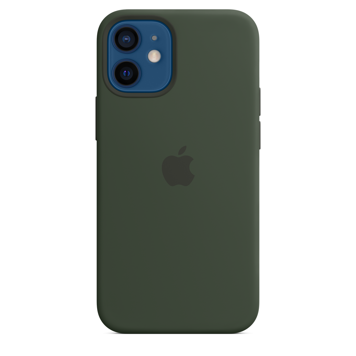Funda de silicona con MagSafe para el iPhone 12 mini, Verde Chipre