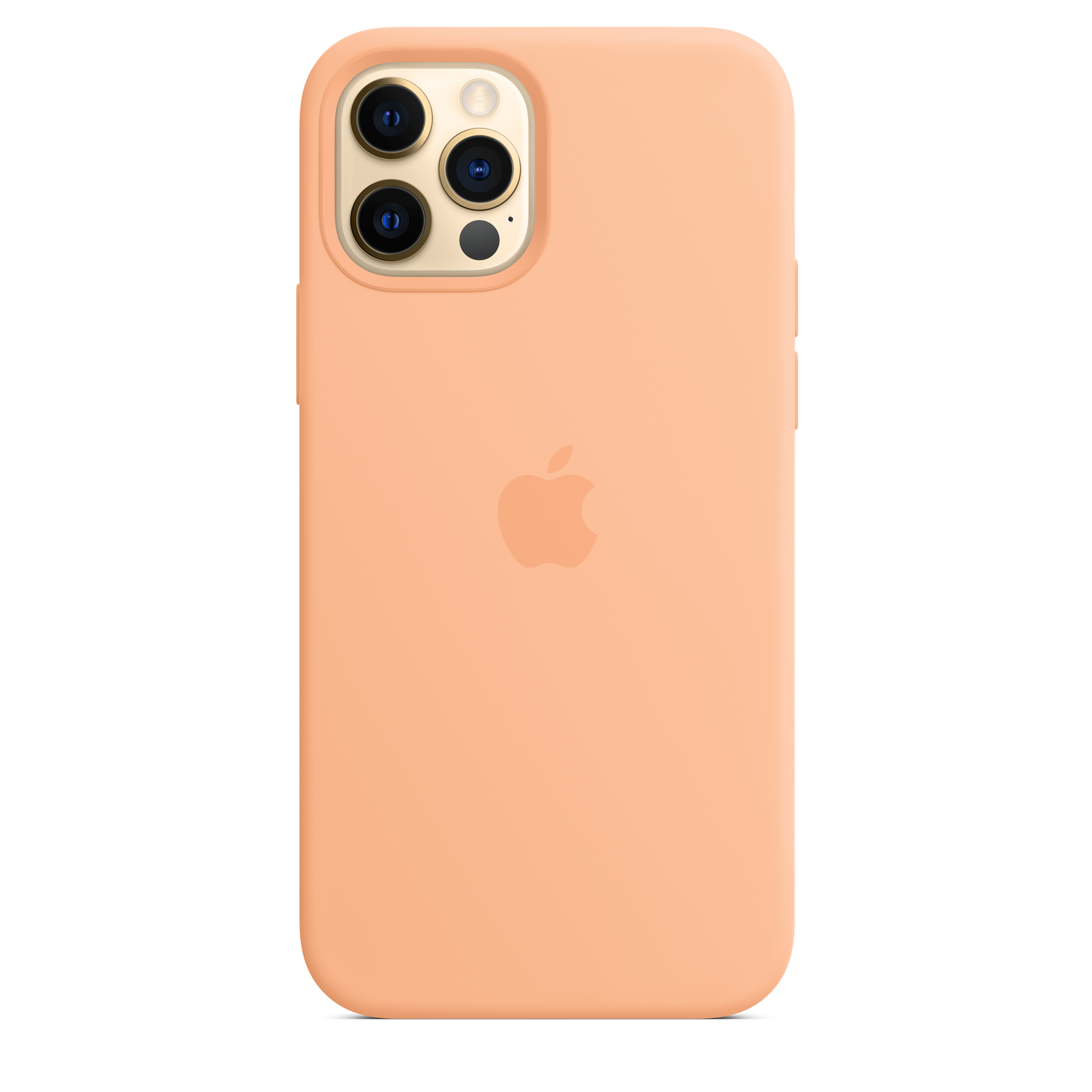 Funda de silicona con MagSafe para el iPhone 12 y iPhone 12 Pro, Cantalupo - Rossellimac