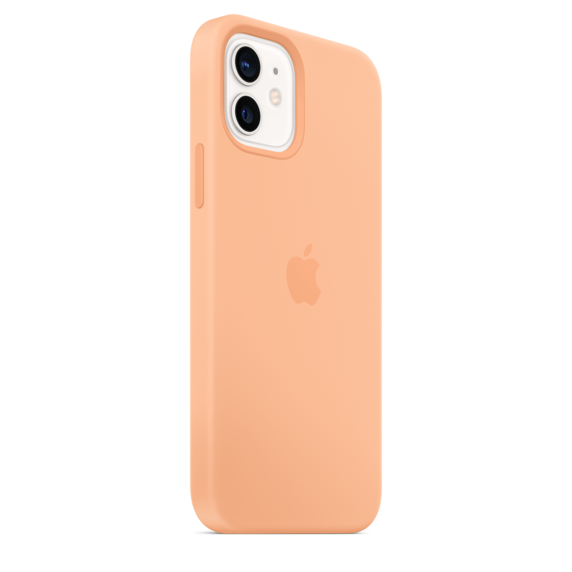 Funda de silicona con MagSafe para el iPhone 12 y iPhone 12 Pro, Cantalupo - Rossellimac