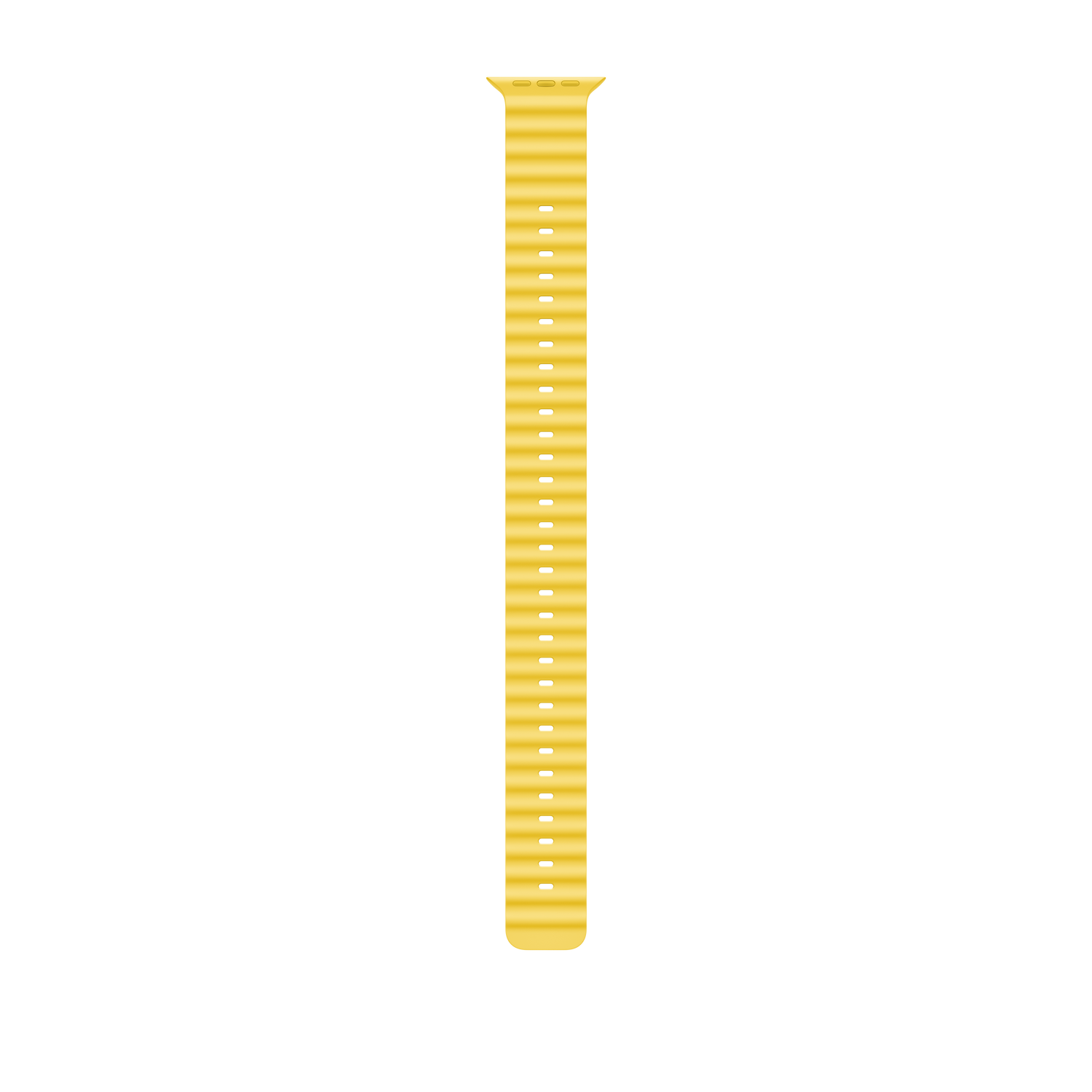 Extensión para correa Ocean amarilla (49 mm) - Rossellimac