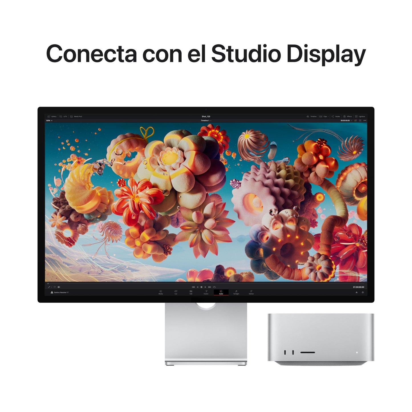 Mac Studio: Chip M1 Ultra de Apple con CPU de diez núcleos y GPU de treinta y dos núcleos, 1 TB SSD - Rossellimac