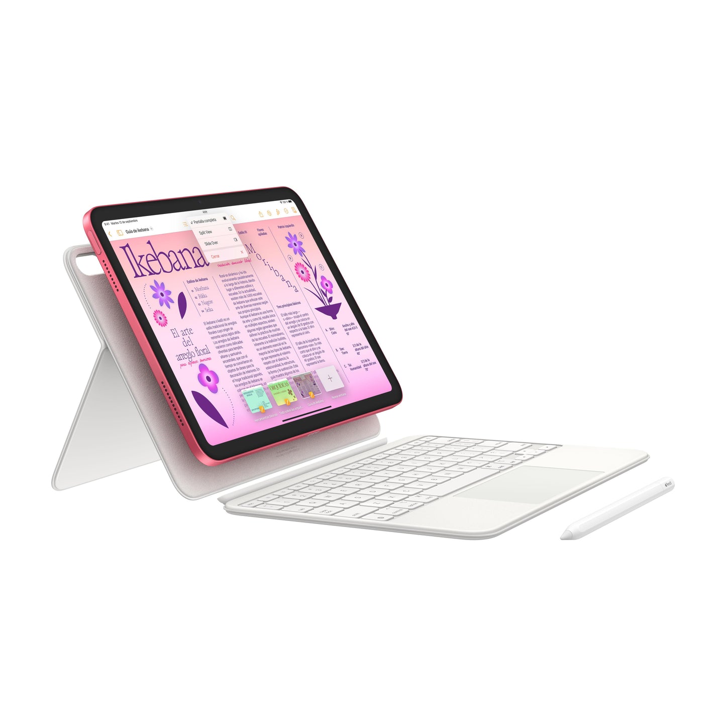 iPad de 10,9 pulgadas Wi-Fi 64 GB - Rosa (10.ª generación) - Rossellimac