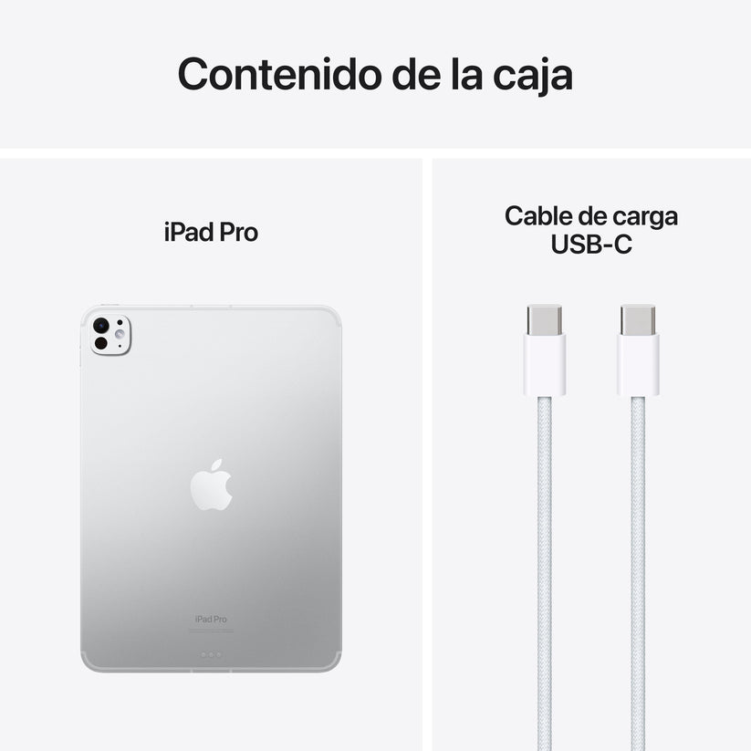 iPad Pro de 11 pulgadas Wi-Fi + Cellular 2 TB Vidrio estándar - Plata (M4) - Rossellimac