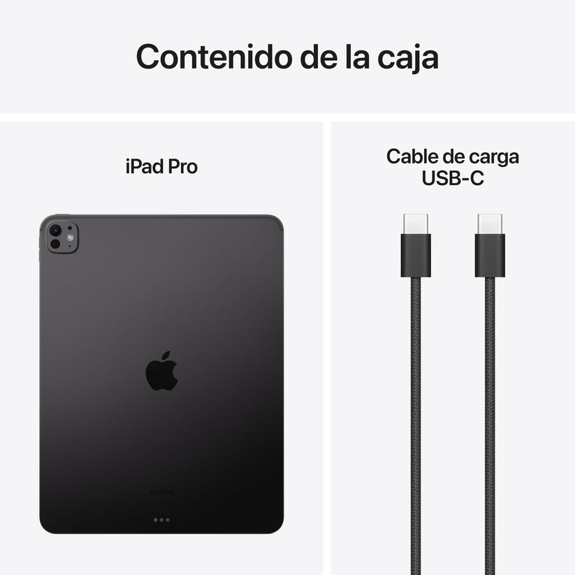 iPad Pro de 13 pulgadas Wi-Fi 256 GB Vidrio estándar - Negro espacial (M4) - Rossellimac
