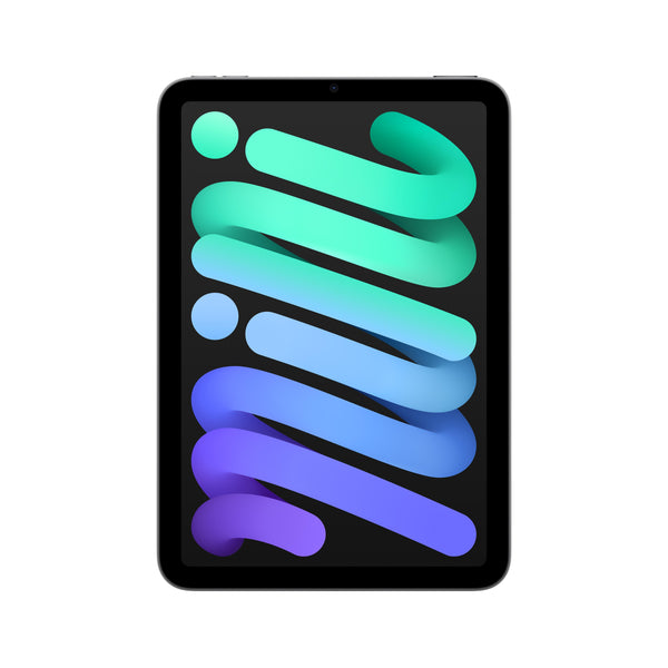 iPad_mini_Space_Gray_PDP_Image