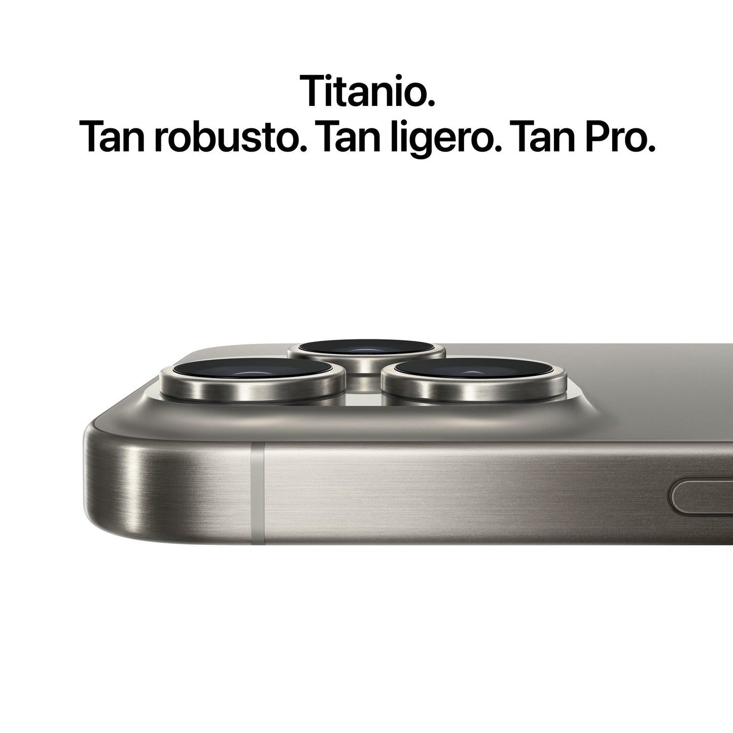 iPhone 15 Pro Max 256 GB Titanio natural