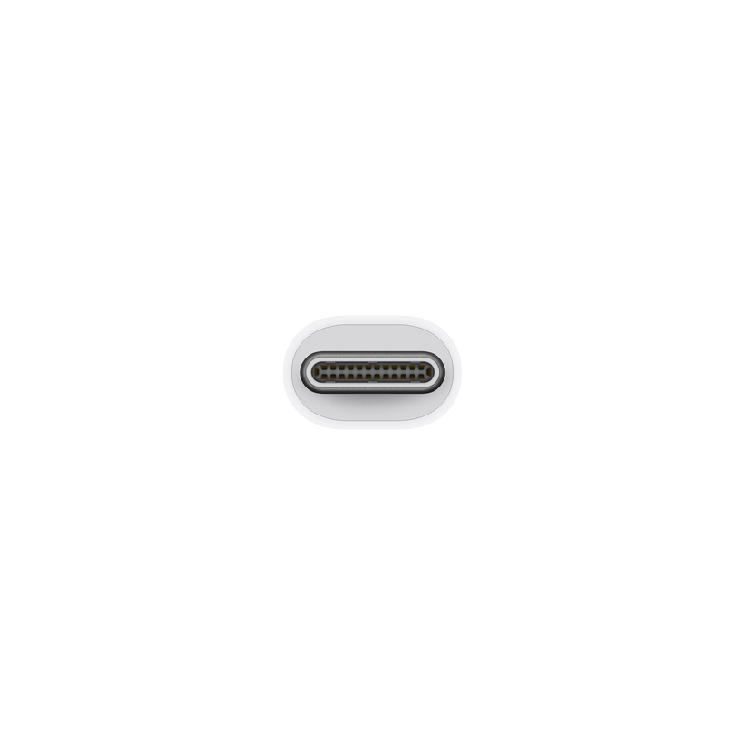 Adaptador de Thunderbolt 3 (USB-C) a Thunderbolt 2 - Rossellimac