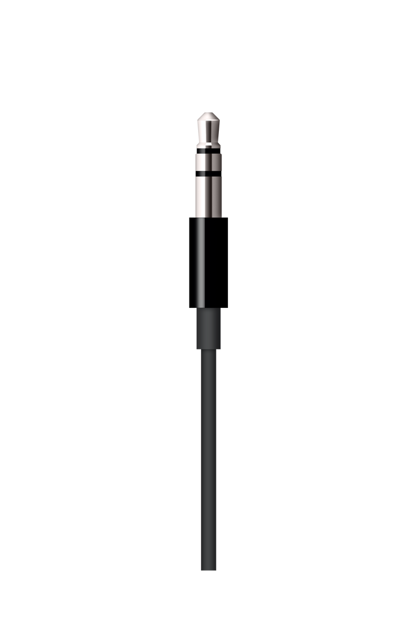 Cable de conector Lightning a toma de audio de 3,5 mm (1,2 m) - Negro - Rossellimac